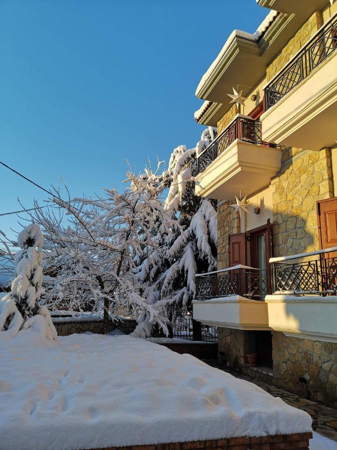 Mysaion Hotel Mészi Szinikía Trikálon Kültér fotó