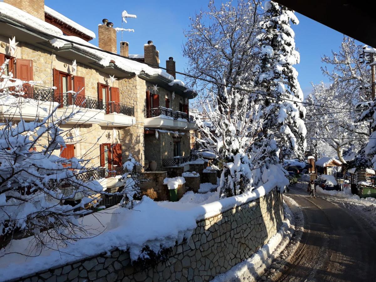 Mysaion Hotel Mészi Szinikía Trikálon Kültér fotó